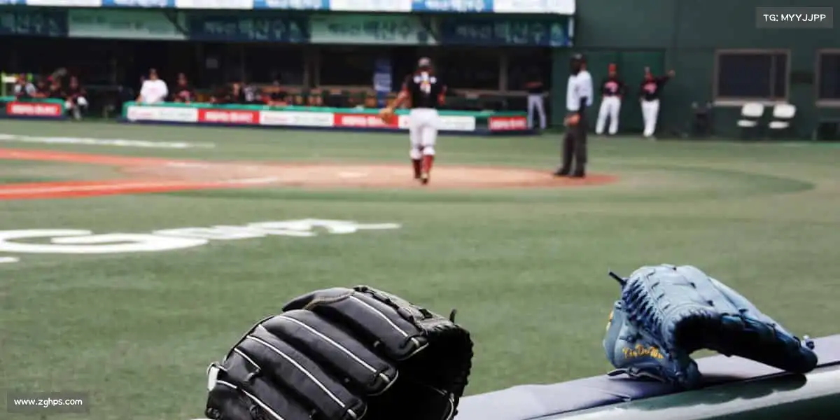 为什么选择我们